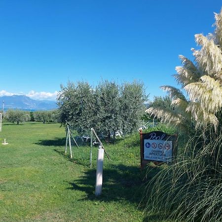 Agriturismo Al-Bor Lazise Buitenkant foto